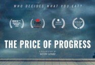 The Price of Progress