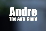Andre the Anti-Giant