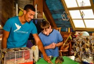 Pets: Finding Stuff Out (Season 3)