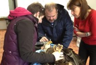 Of Beaks and Buckshot: Hope for Wildlife - Season 2