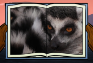 Lemur: Big Bear and Squeak Series