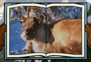 Reindeer: Big Bear and Squeak Series