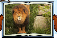 Lion: Big Bear and Squeak Series
