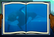 Orca: Big Bear and Squeak Series
