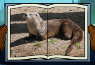 Otter: Big Bear and Squeak Series