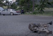 Vehicle Crash: Tribal Police Files (Season 1)