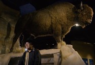 The Return of Buffalo: Red Earth Uncovered, Season 3