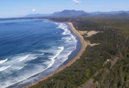 Pacific Rim Reserve National Park: A Park For All Seasons Series