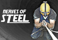 Nerves of Steel Series