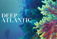 Deep Atlantic: Part I