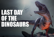 Last Day of the Dinosaurs