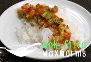 Wok-Fried Waxworms: Bug Bites Series