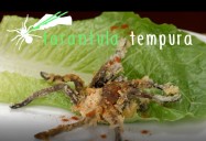 Tarantula Tempura: Bug Bites Series