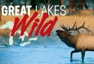 Great Lakes Wild Series