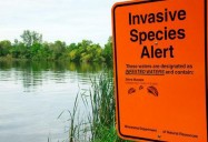 The Goby Effect: Great Lakes Wild Series