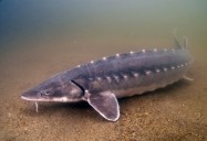 The Damning Truth: Great Lakes Wild Series