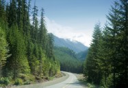 Vancouver Island: Undiscovered Vistas Series
