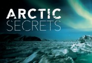 Wild Seas: Arctic Secrets Series