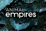 Animal Empires Series