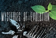 Unchanged (Ancient Lineages): Mysteries of Evolution Series
