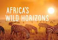 Africa's Wild Horizons Series