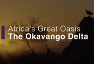 Africa's Great Oasis - The Okavango Delta: Africa's Wild Horizons Series