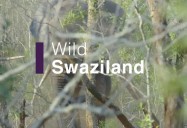 Wild Swaziland: Africa's Wild Horizons Series