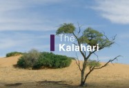 The Kalahari: Africa's Wild Horizons Series