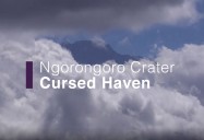 Ngorongoro Crater - Cursed Haven: Africa's Wild Horizons Series