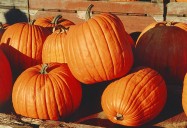 Halloween: Holiday Makeover Series