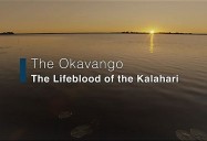 The Okavango - Lifeblood of the Kalahari: Waterworld Africa Series