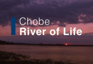 Chobe: River of Life: Waterworld Africa Series