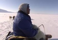Greenland: Arctic, with Bruce Parry