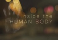 Inside the Human Body Series