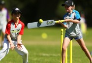 Cricket (Airflow Dynamics): Sports Lab Series