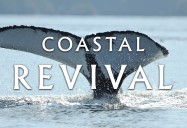 The Marine Detective: Coastal Revival Series