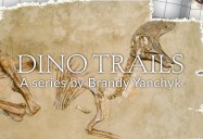 Dino Trails, Season 1