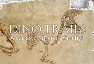 Dino Trails (Season 2)