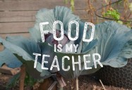 Food is My Teacher (26 Minute Version)