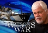 Watson's War: W5