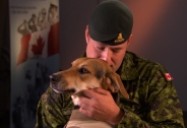 Canine Comrades: W5