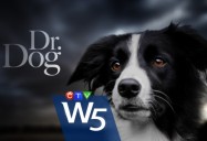 Dr. Dog: W5