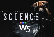 In the Name of Science: W5