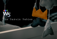 The Barwin Babies: W5
