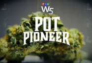 Pot Pioneer: W5