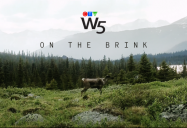 On the Brink (Caribou): W5 