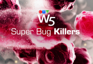 Super Bug Killers: W5