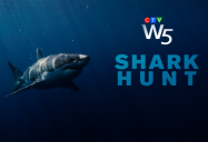 Shark Hunt: W5