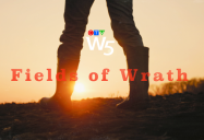 Fields of Wrath: W5