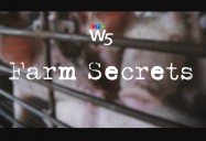 Farm Secrets: W5